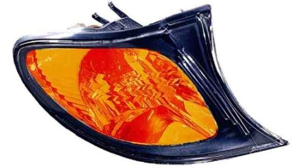 IPARLUX 14200531 Blinker vorne rechts, orange, ohne Lampenträger, orange