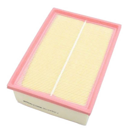 AUTOMEGA 180034010 Air filter Filter Insert