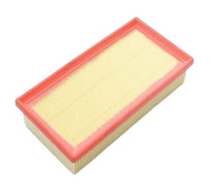 AUTOMEGA 180055710 Air filter Filter Insert