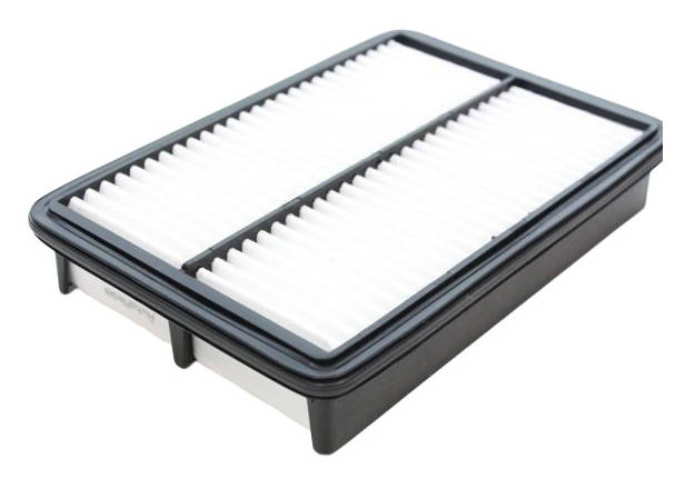 AUTOMEGA 180068710 Air filter Filter Insert