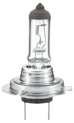 HELLA 8GH 007 157-241 Light Bulbs HEAVY DUTY H7, Halogen-image-944735