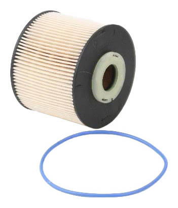 ASHIKA 30-ECO028 Fuel Filter Filter Insert-image-9474014