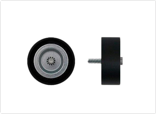CAFFARO 500217 Idler Pulley-image-9824179