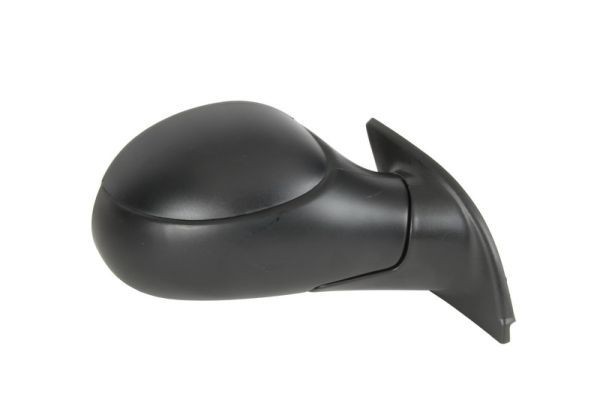 BLIC 5402-04-1138389 Wing mirror Right, Mechanical, Convex, primed-image-9899289
