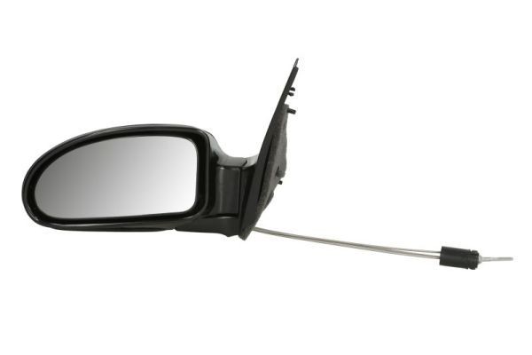 BLIC 5402-04-1139389 Wing mirror Left, Electric, Convex, primed-image-9899314