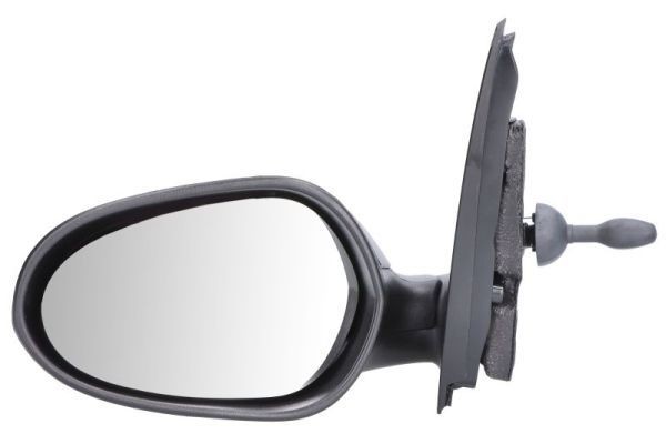 BLIC 5402-04-1139399 Wing mirror Left, Electric, Convex