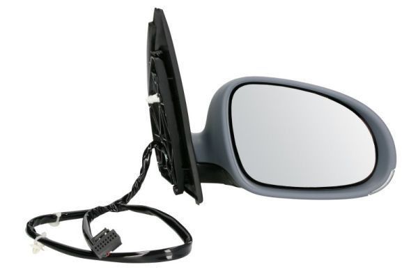 BLIC 5402-04-1139933 Wing mirror Left, Electric, Convex, primed-image-9899343