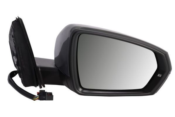BLIC 5402-04-9212152 Wing mirror Left, Mechanical, Convex