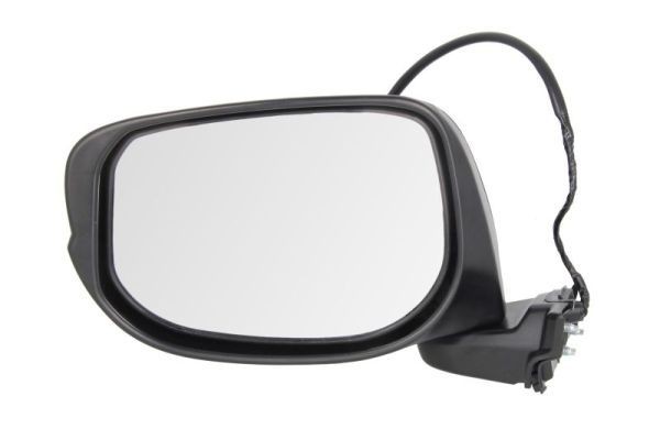 BLIC 5402-12-2001351P Wing mirror Left, Electric, Convex, primed-image-9899976