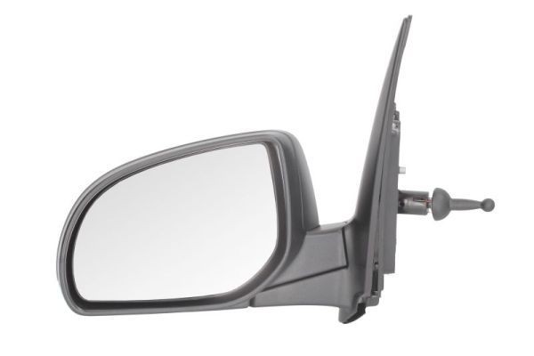 BLIC 5402-20-2002849P Wing mirror Left, Mechanical, Convex-image-9900280
