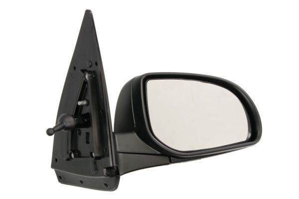 BLIC 5402-20-2002850P Wing mirror Right, Mechanical, Convex-image-9900281
