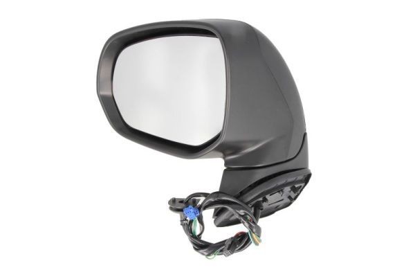 BLIC 5402-21-031363P Wing mirror Left, Electric, Convex, primed-image-9900295