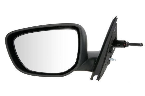 BLIC 5402-21-044363P Wing mirror Left, Mechanical, Convex-image-9900357