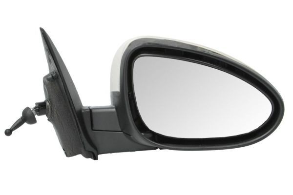 BLIC 5402-56-013344P Wing mirror Right, Mechanical, Convex-image-9900627