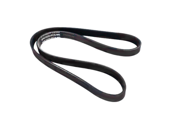 MASTER-SPORT 5PK1025-PCS-MS V-ribbed belt-image-9972889
